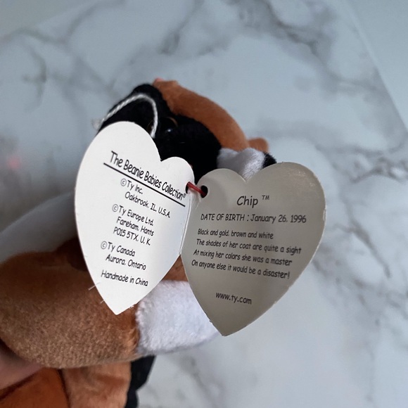TY The Beanie Baby Collection Chip the Cat . - Picture 5 of 6